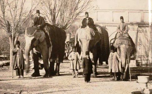 روایتی از کارناوالِ فیل ناصرالدین‌شاه در نوروز ۱۲۲۹ خورشیدی