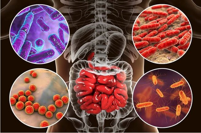 چگونه از نگهبانان میکروسکوپی‌ خود مراقبت کنیم؟