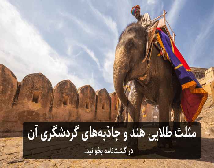 راهنمای جامع سفر به هند؛ از جاذبه های بی نظیر تا نکات کاربردی برای تجربه ای خاطره انگیز