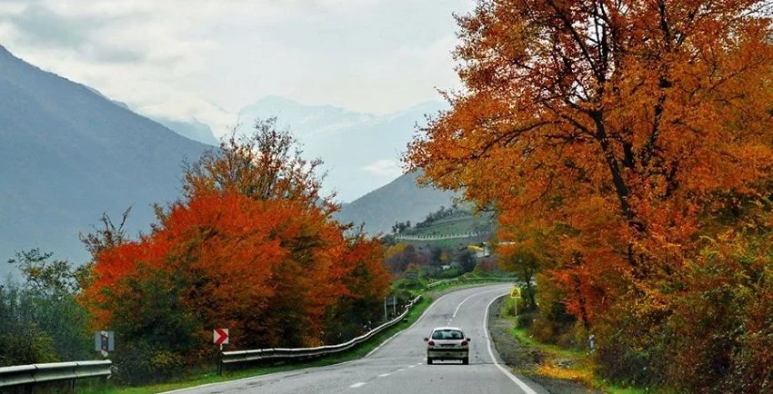 نکات کاربردی برای سفری آرام به مشهد