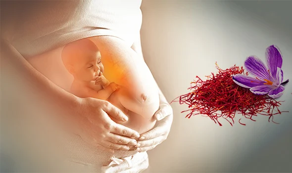 مضرات زعفران در بارداری | ایا زعفران باعث سقط جنین میشود؟