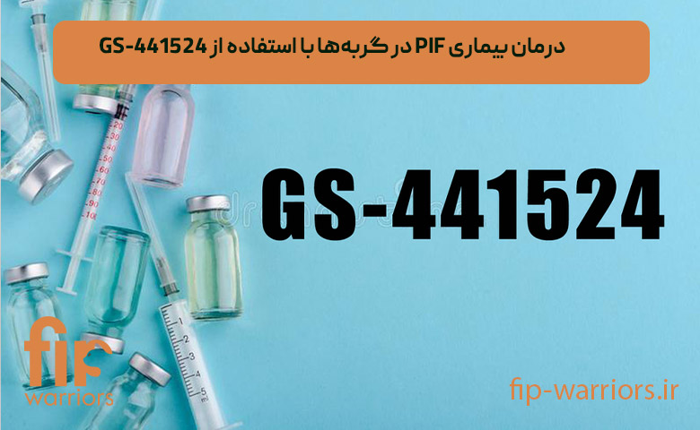 داروی GS-441524 برای FIP گربه ها: خرید مطمئن در ایران