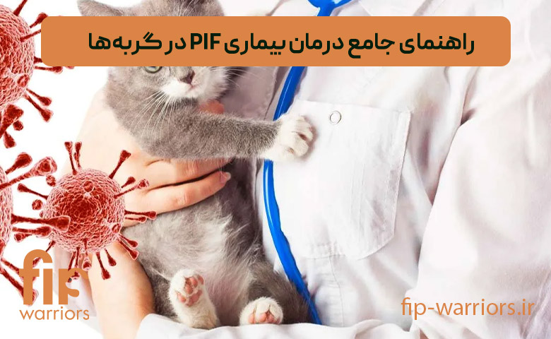 داروی GS-441524 برای FIP گربه ها: خرید مطمئن در ایران