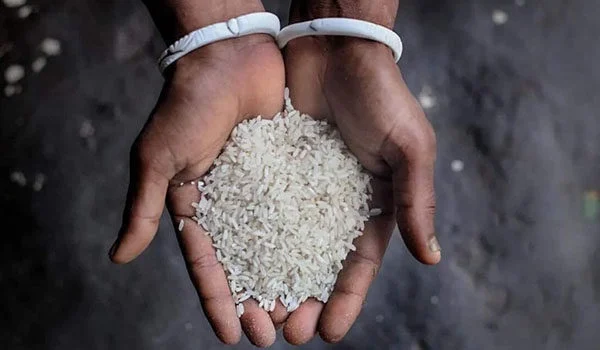 طبع برنج پاکستانی گرم است یا سرد؟