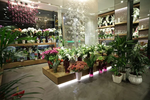 داماد | عروس انتخاب گلهای ویژه برای هر مناسبت: راهنمای شما