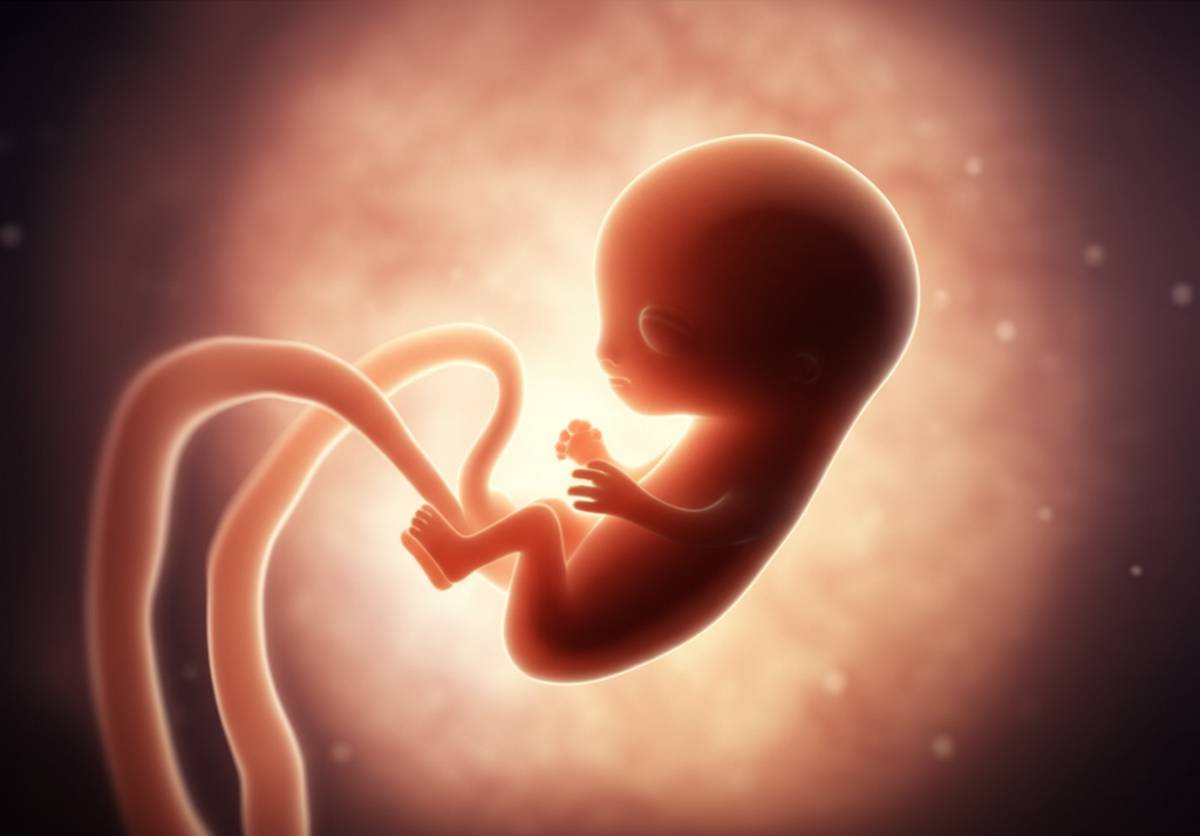 جنین | سقط جنین سقط جنین ۶ هفته: علائم، روش ها، عوارض و راهنمای کامل