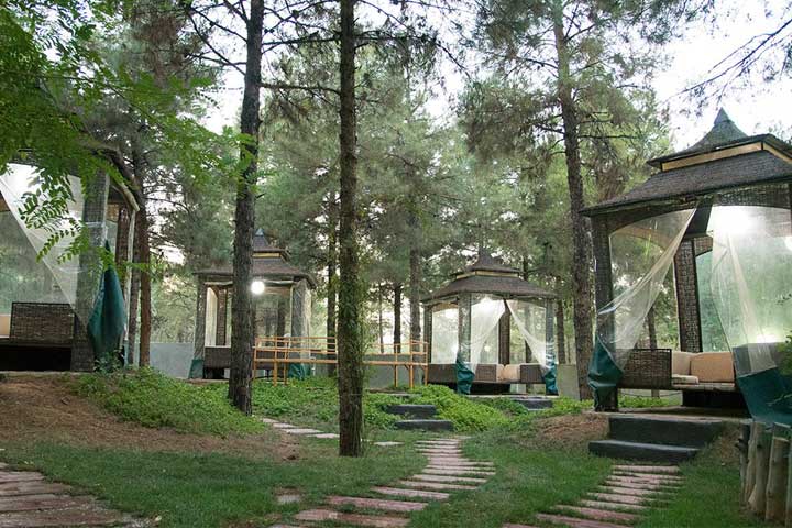 شیراز | طبیعت زیباترین جاهای تفریحی شیراز