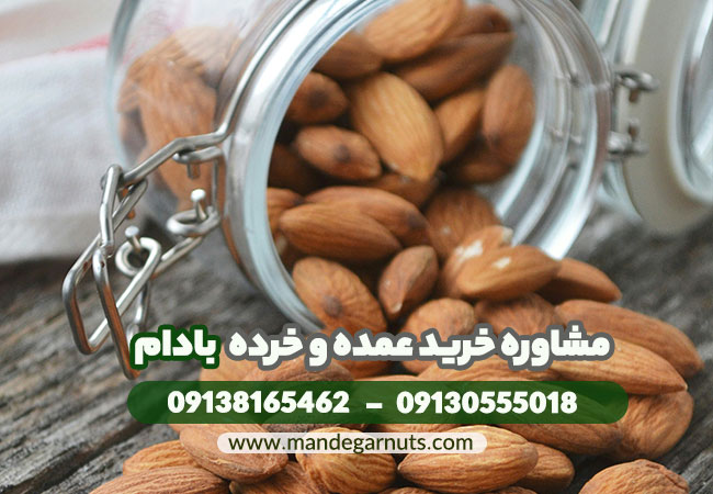 درخت | بادام بادام درختی ایرانی را از کجا بخریم؟ راهنمای انتخاب و خرید مطمئن
